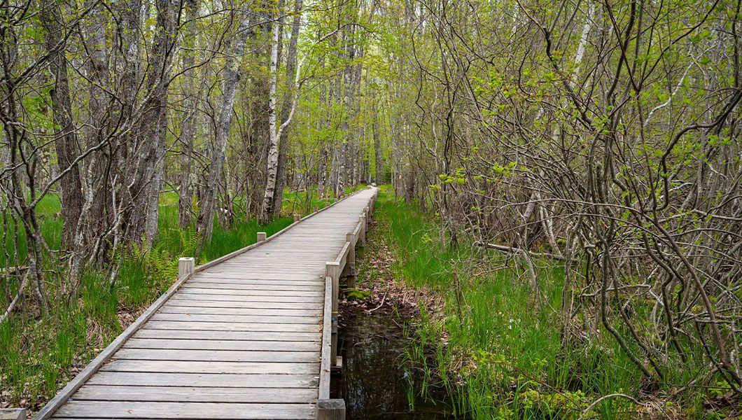 Sieur de Monts Spring photo 5