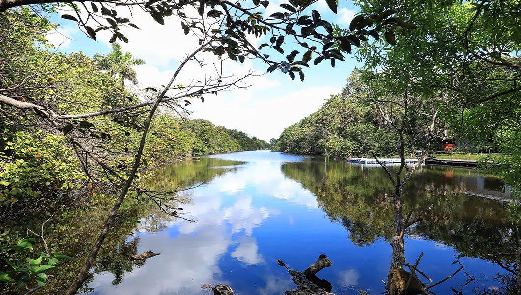 a-fresh-water-lake-in-Hugh-Taylor-Birch-State-Park.jpg