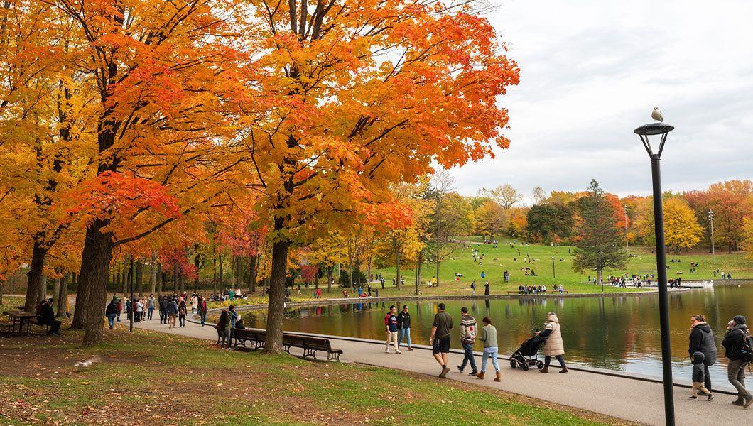 Montreal-Mount-Royal-Canada.jpg