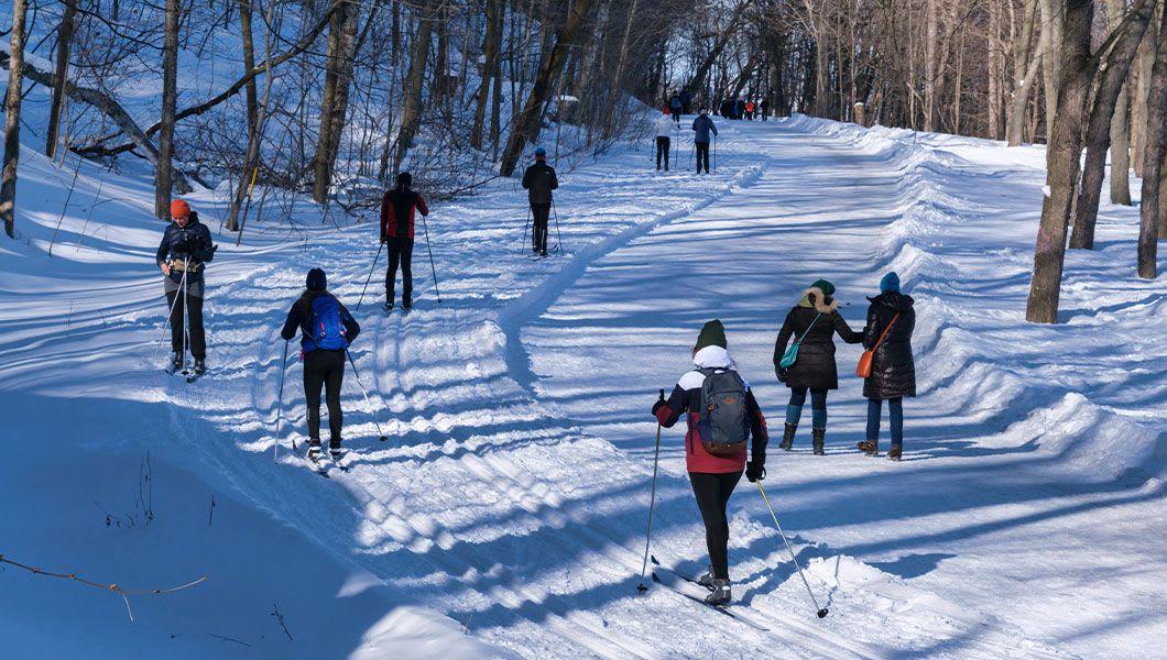 Montreal-Mount-Royal.jpg
