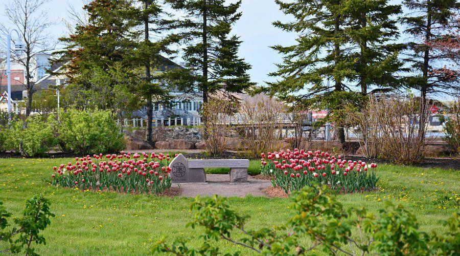 C landing park.jpg