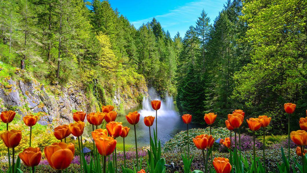 Butchart-Gardens-Victoria-Canada.jpg