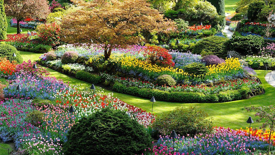 Butchart-Gardens-Victoria.jpg