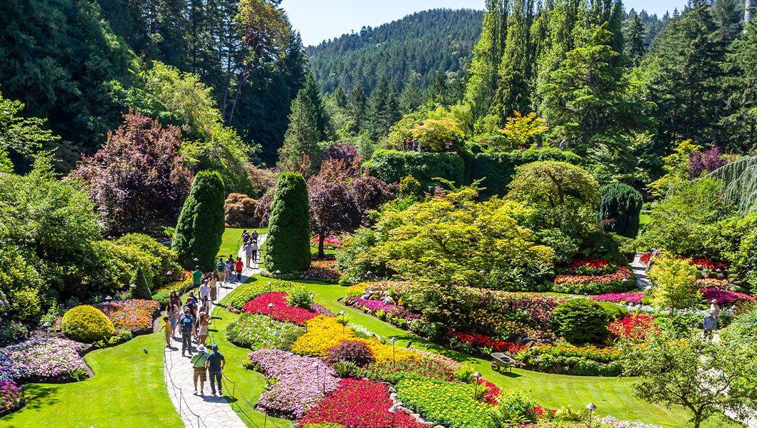 Victoria-Butchart-Gardens-Canada.jpg