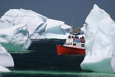 amongst-the-bergs.jpg