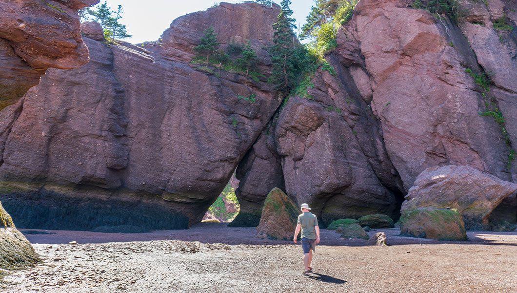 Hopewell-Rocks-St-John-Market.jpg