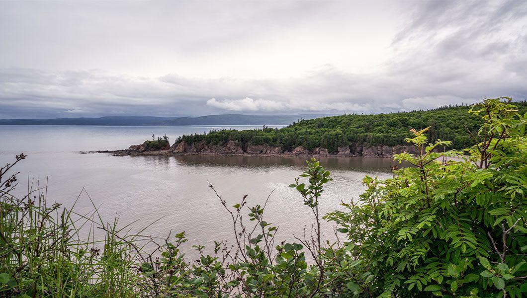 Cape-Enrage-Nature-Preserve.jpg