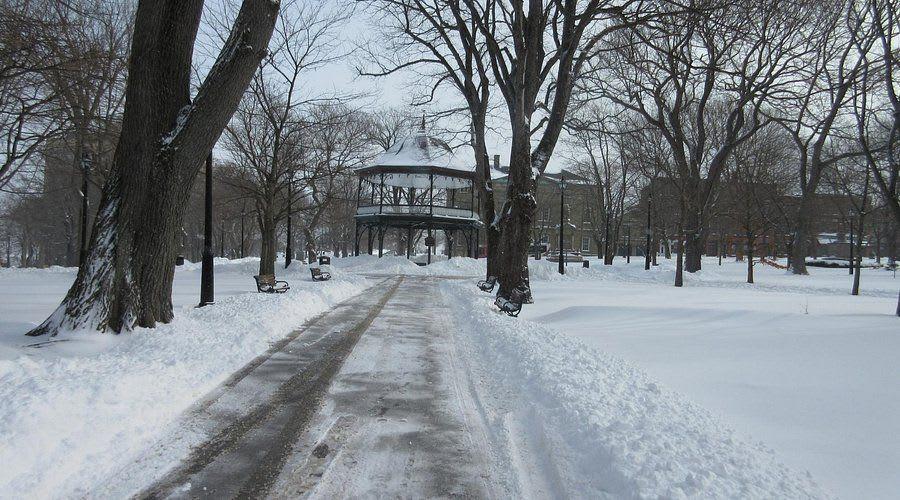 winter-wonderland-in.jpg