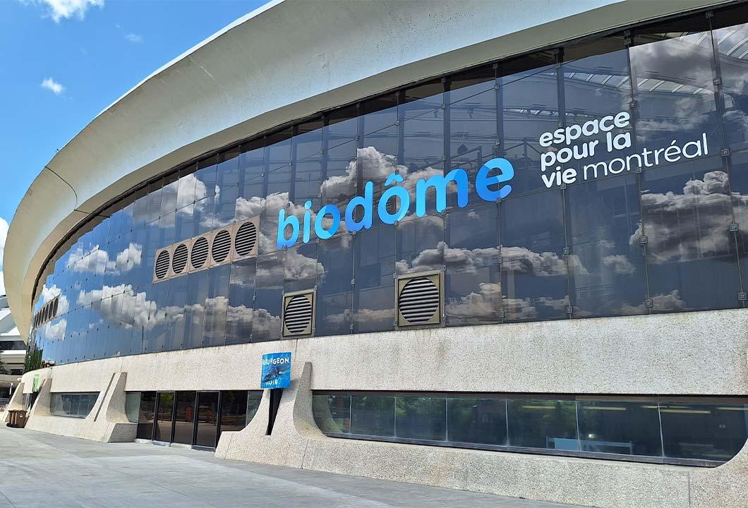Best of Montreal Tour + The Biodome Wonder