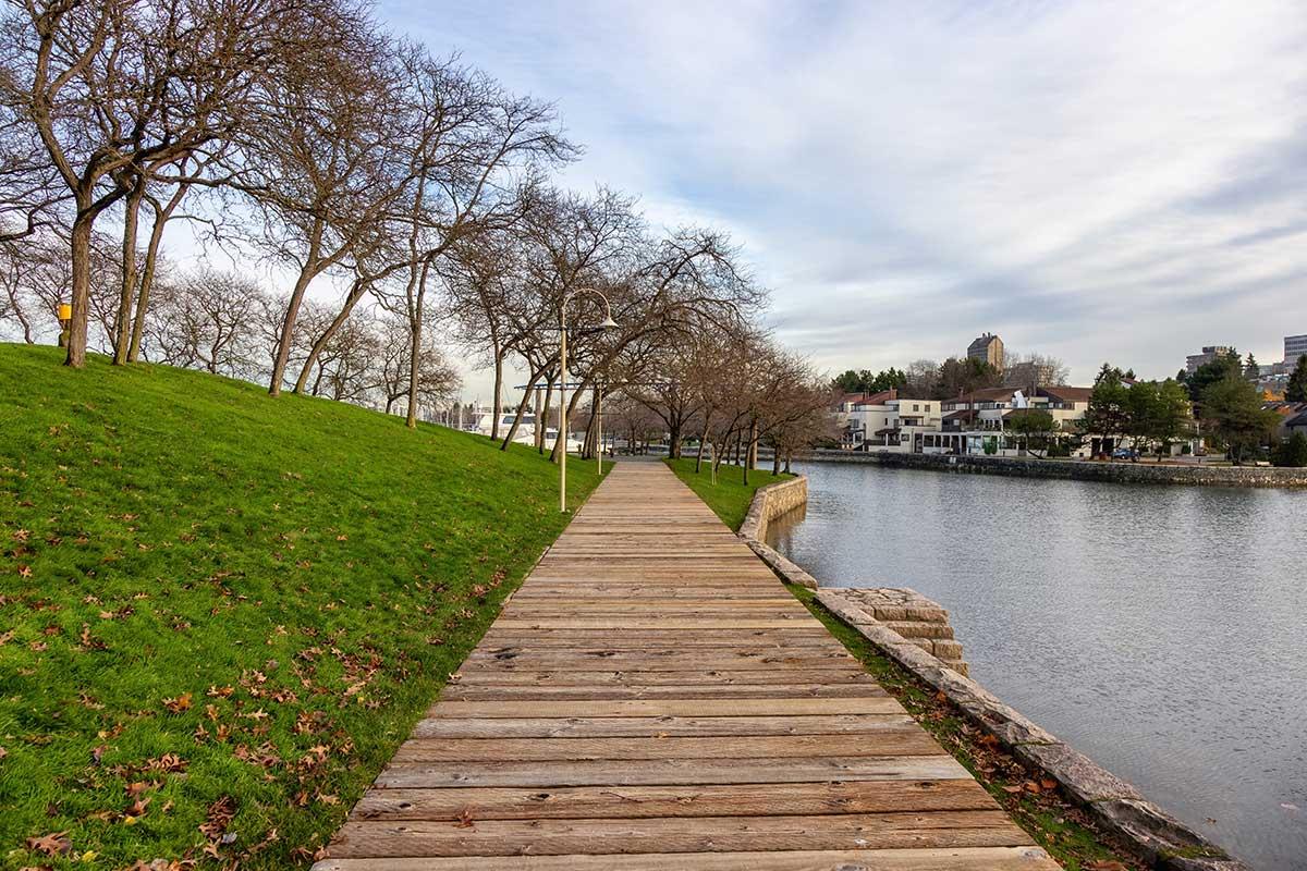 Ron Basford Park photo 1