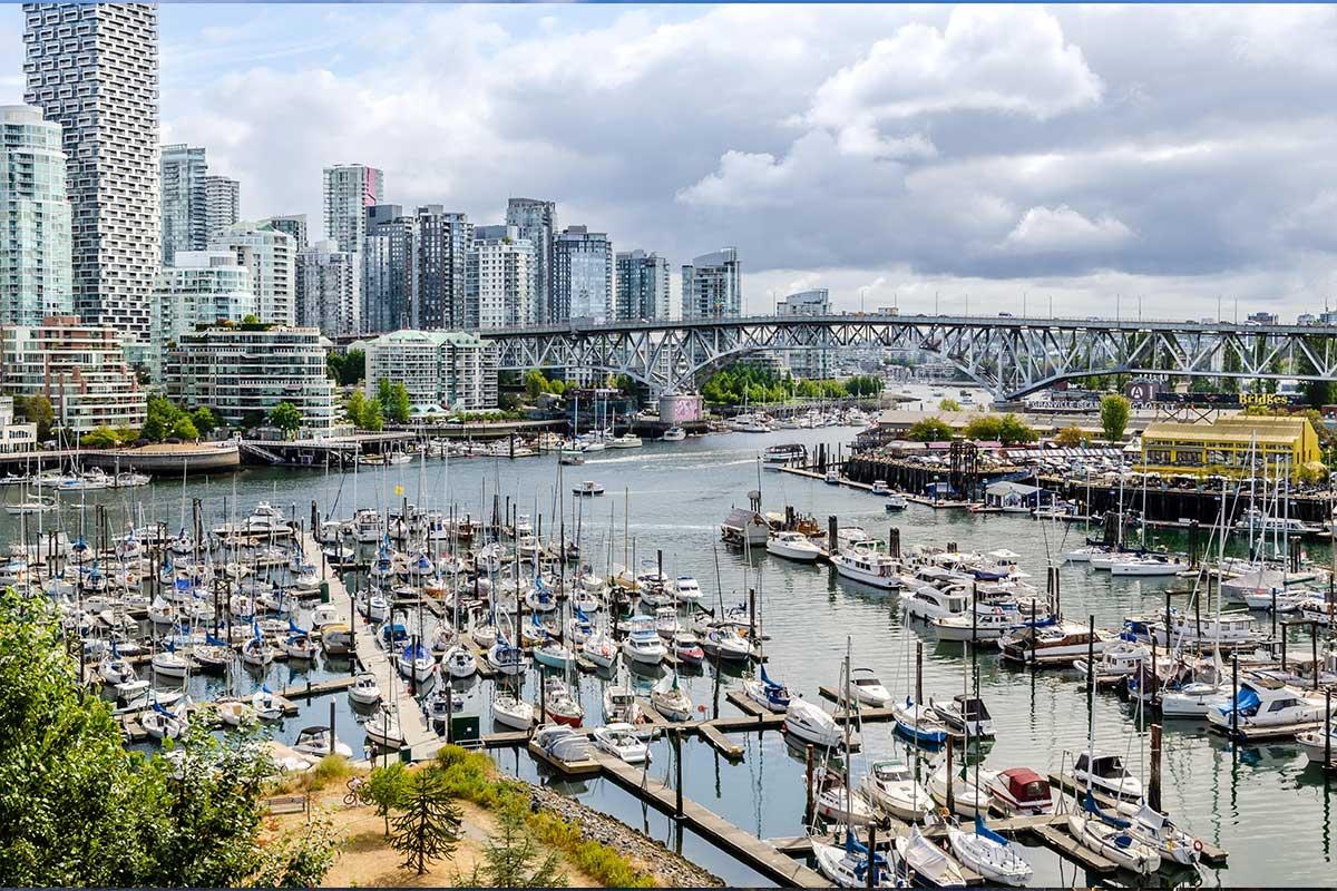 False Creek View.jpg