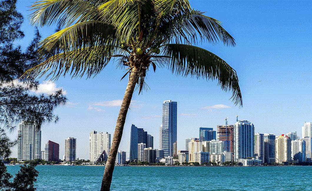 Beautiful View of Biscayne.jpg