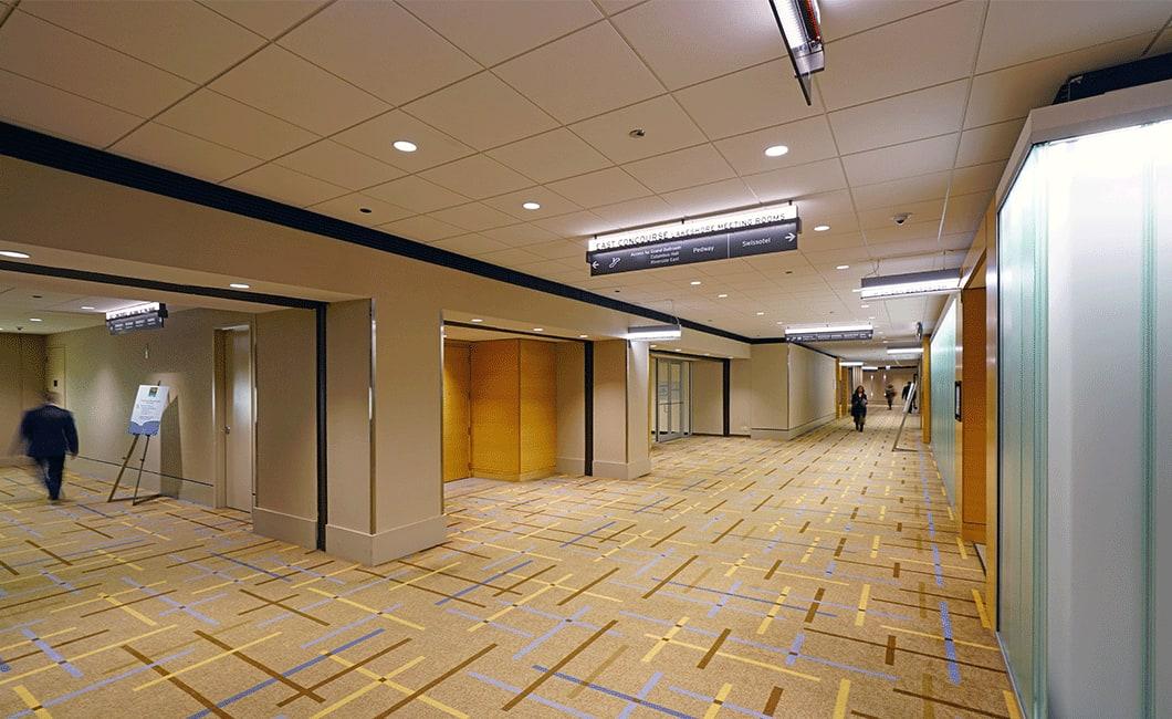 View of Pedway.jpg