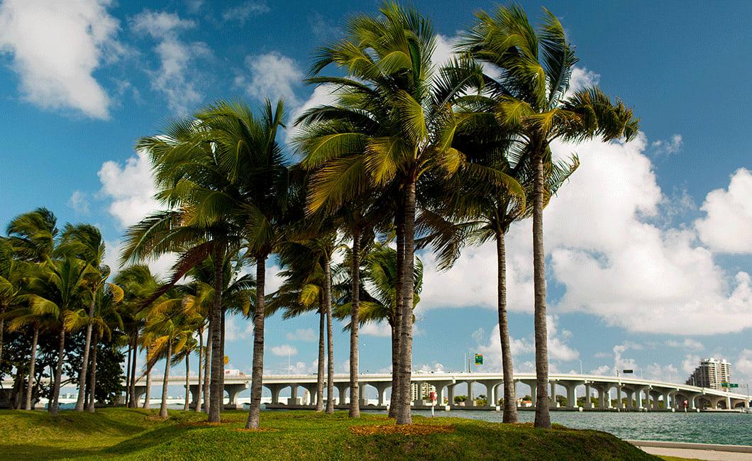 Bayfront Downtown Miami.jpg
