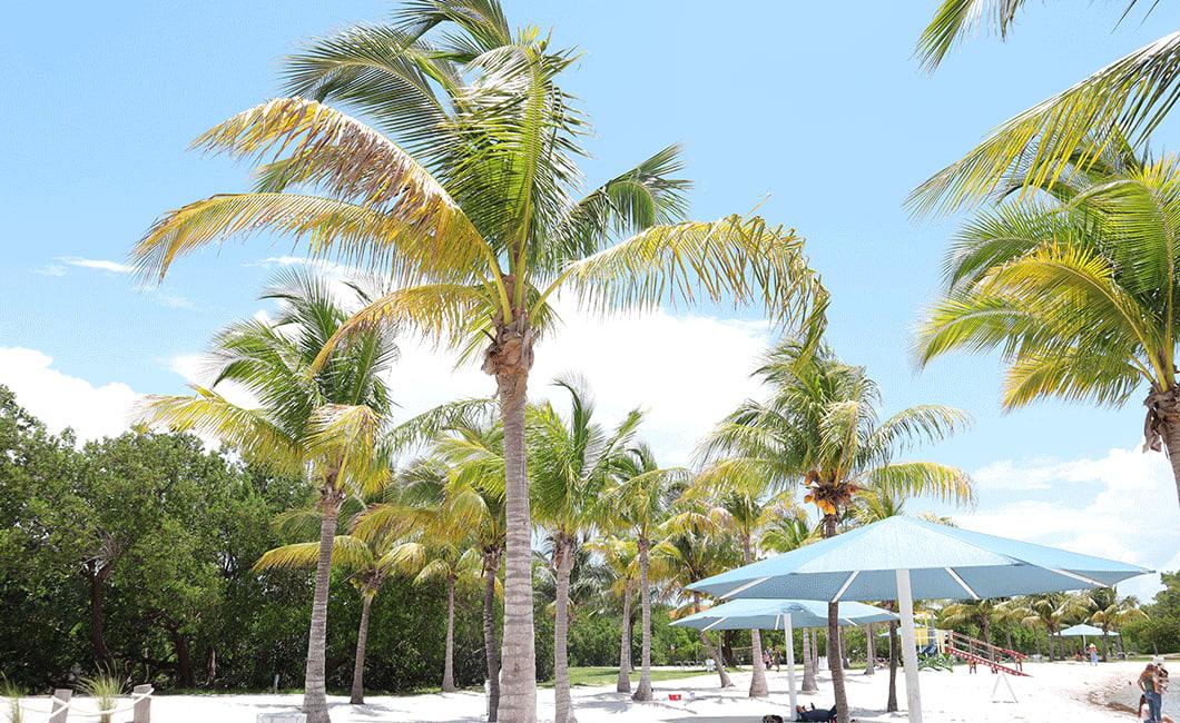 Bayfront Miami.jpg