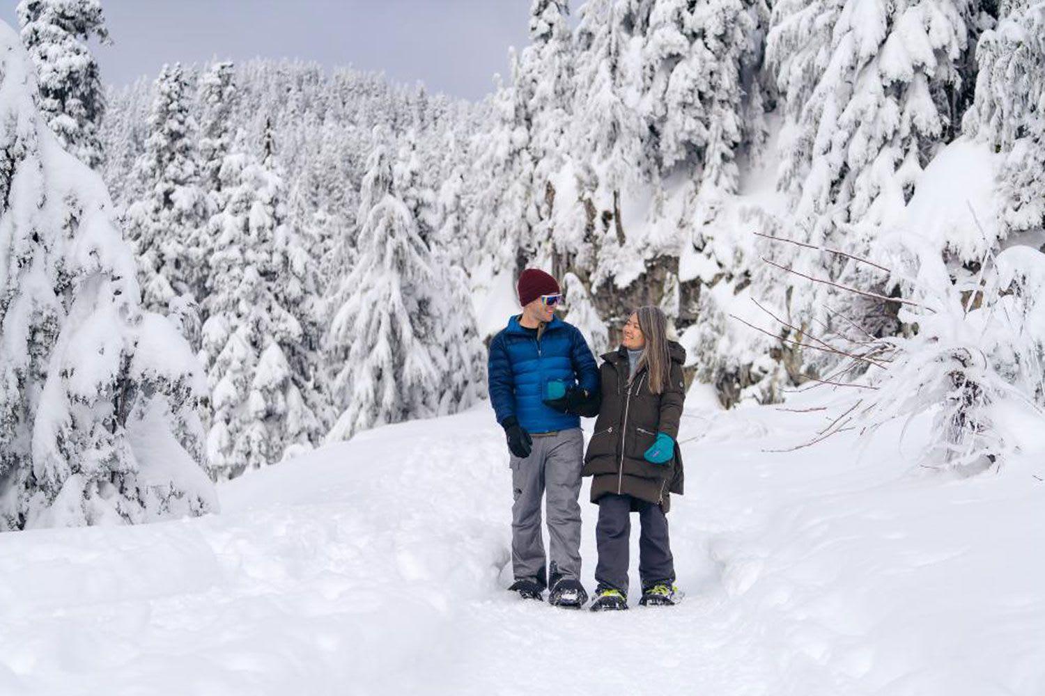 Vancouver Grouse Mountain Express Tour