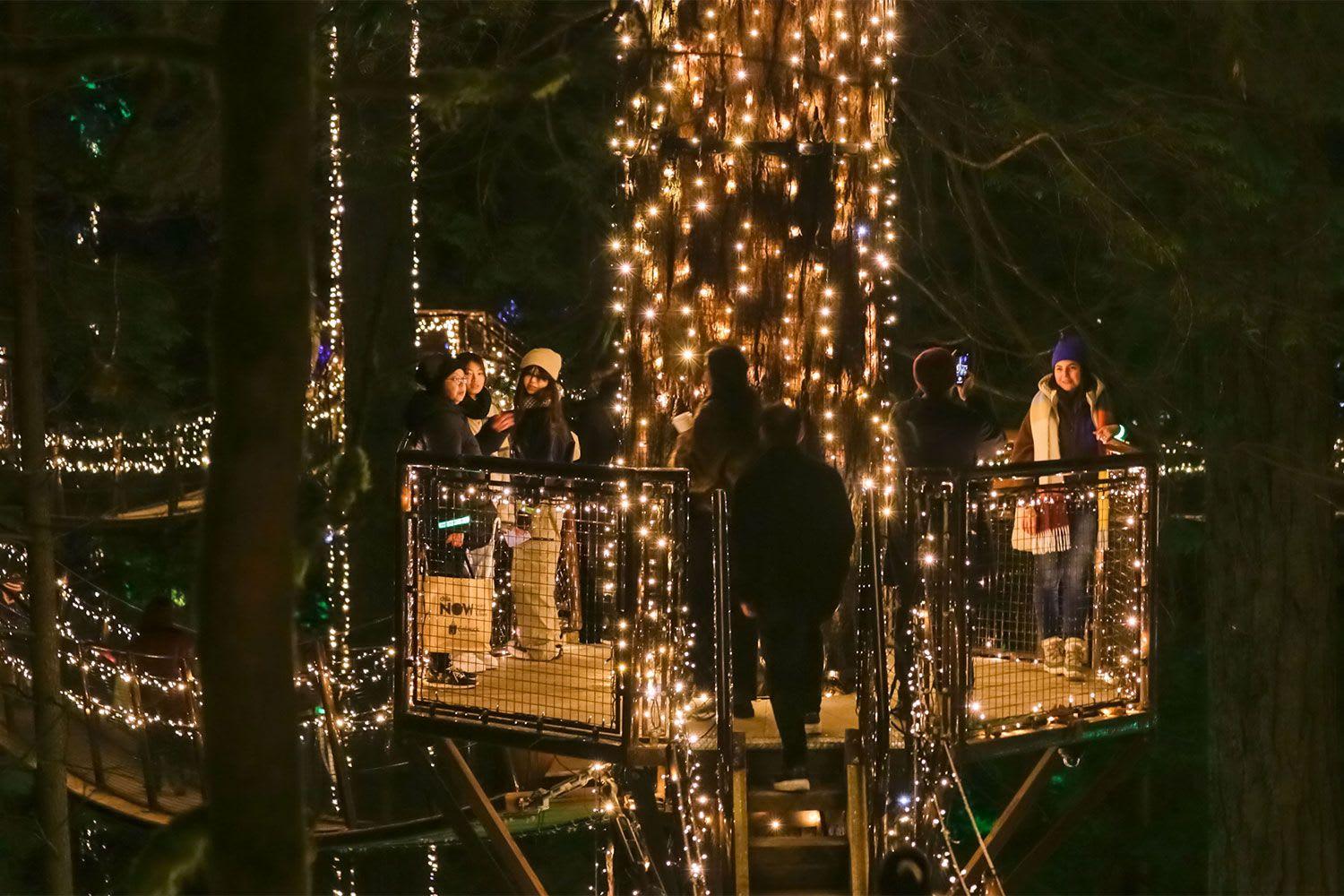 Capilano Suspension Bridge with Canyon Lights Tour