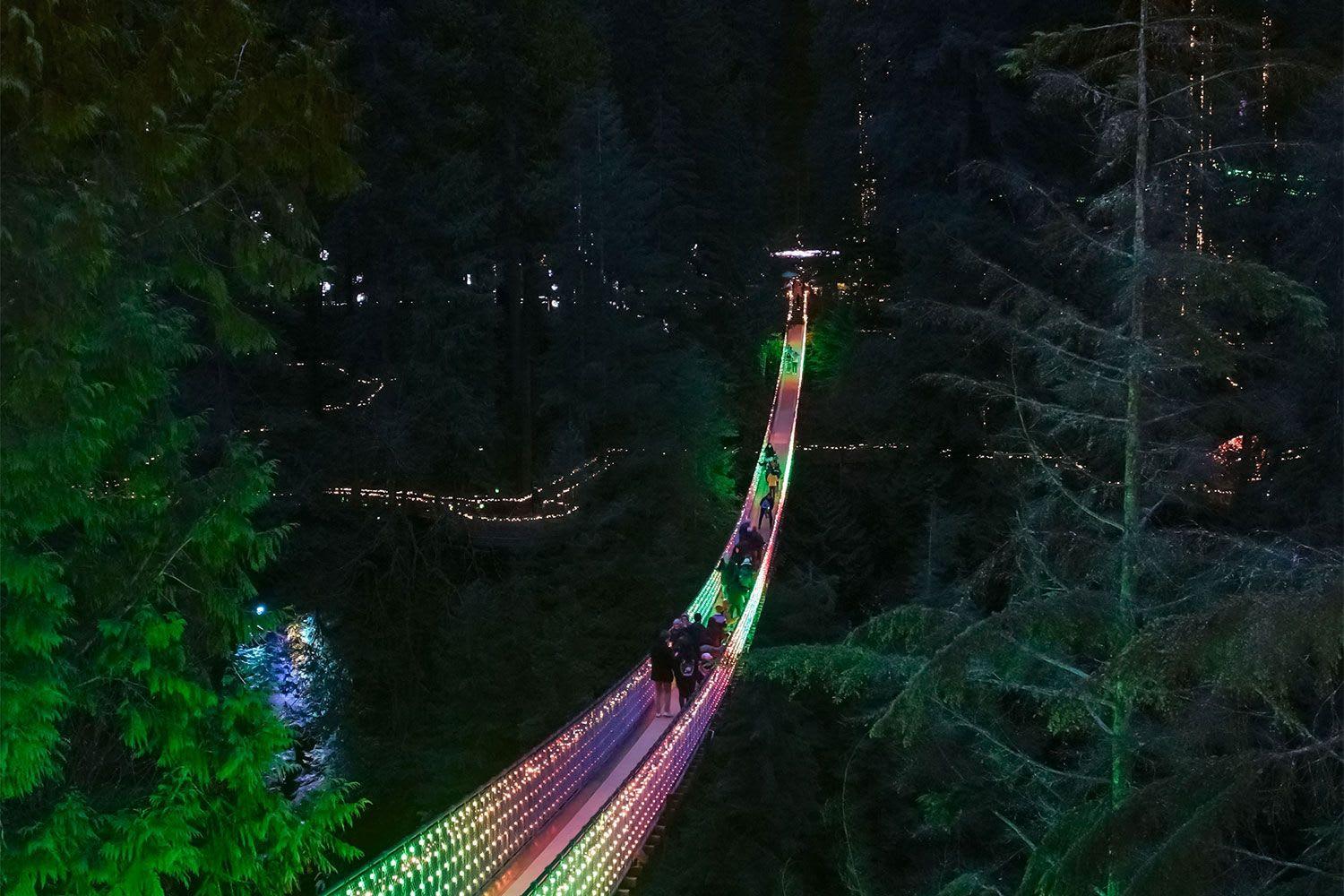 Capilano Suspension Bridge with Canyon Lights Tour