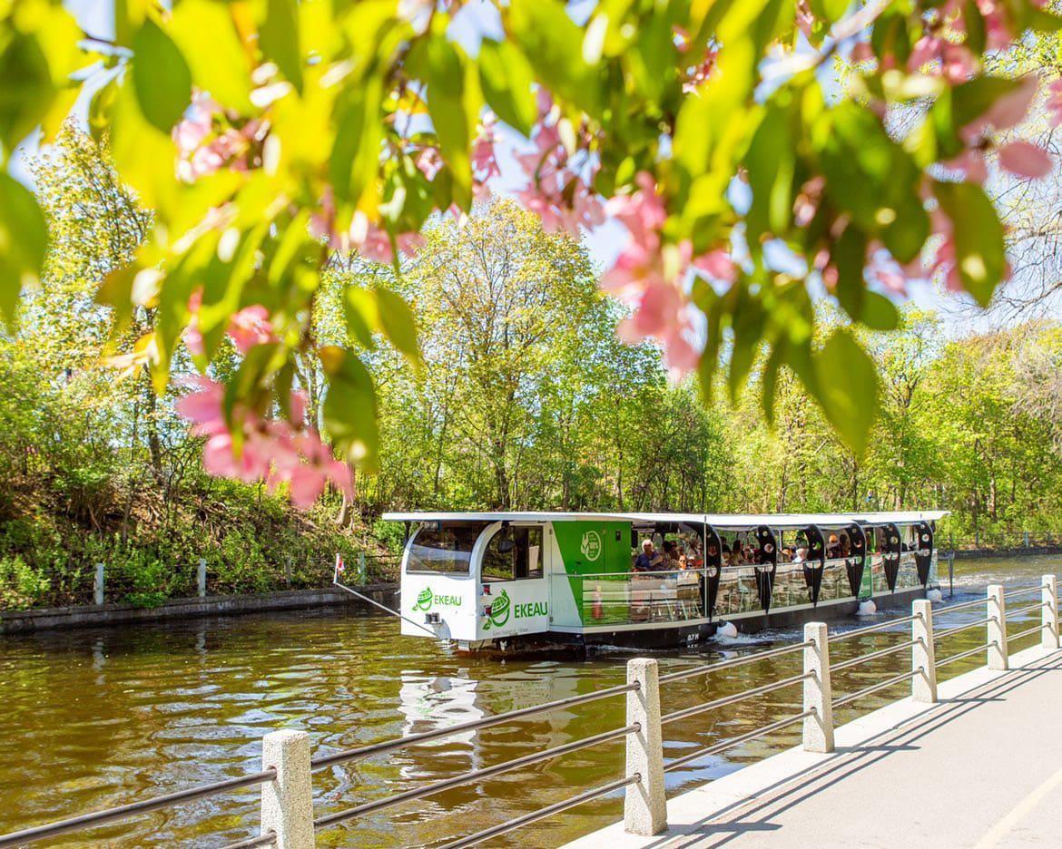 Best of Ottawa Exclusive Private Tour