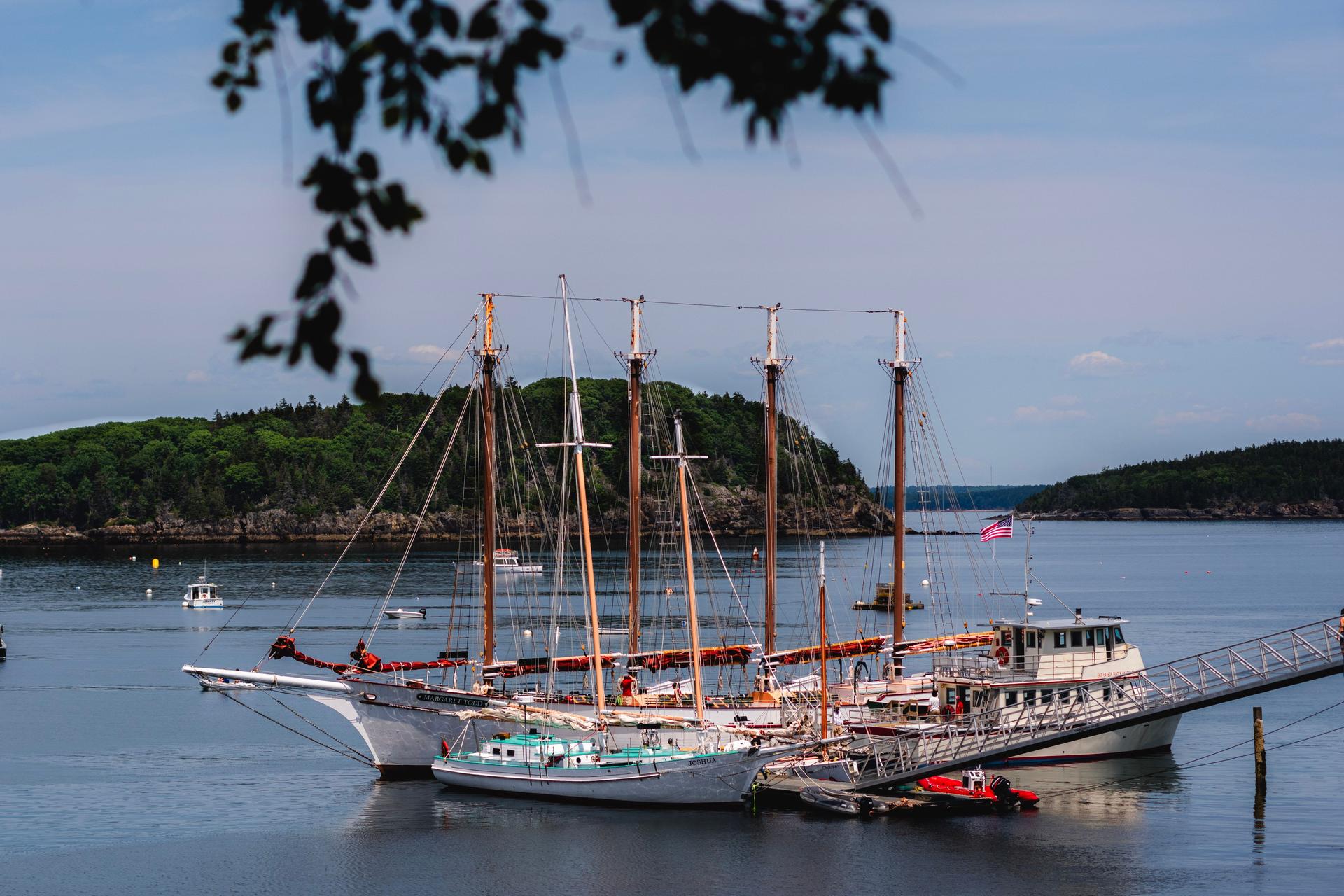 Porcupine Islands Foto 3