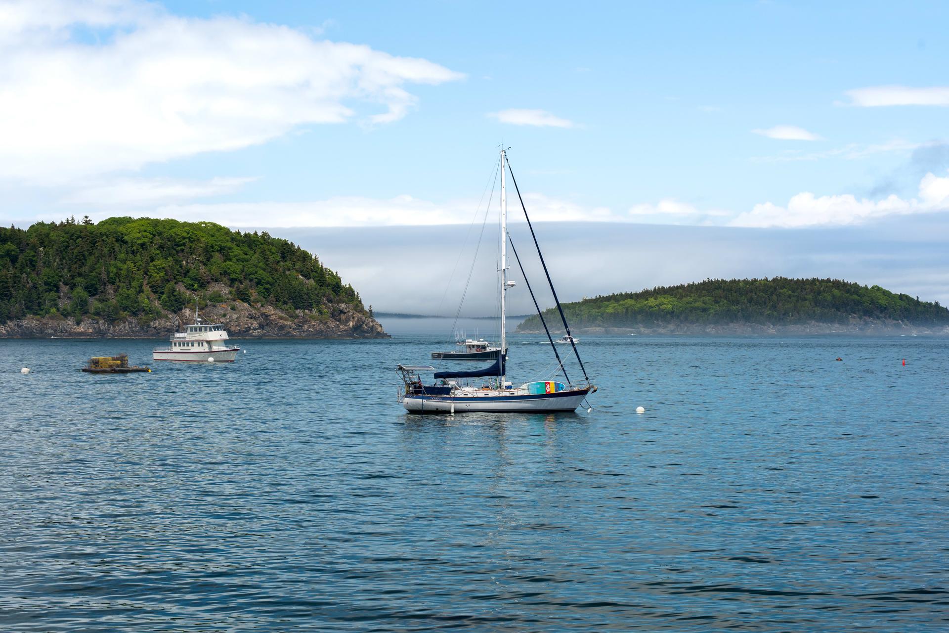 Porcupine Islands Foto 6