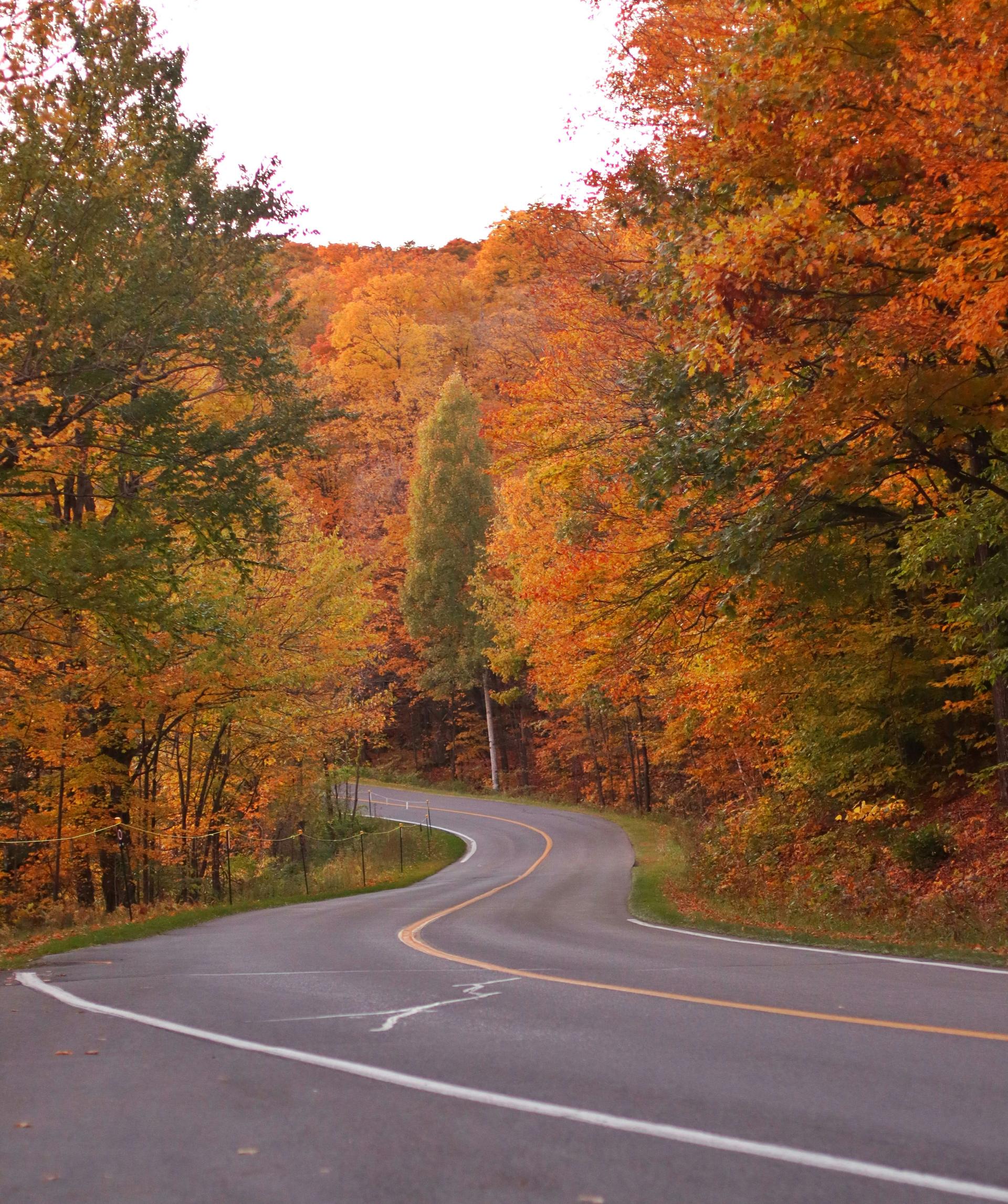 Gatineau Park Foto 6