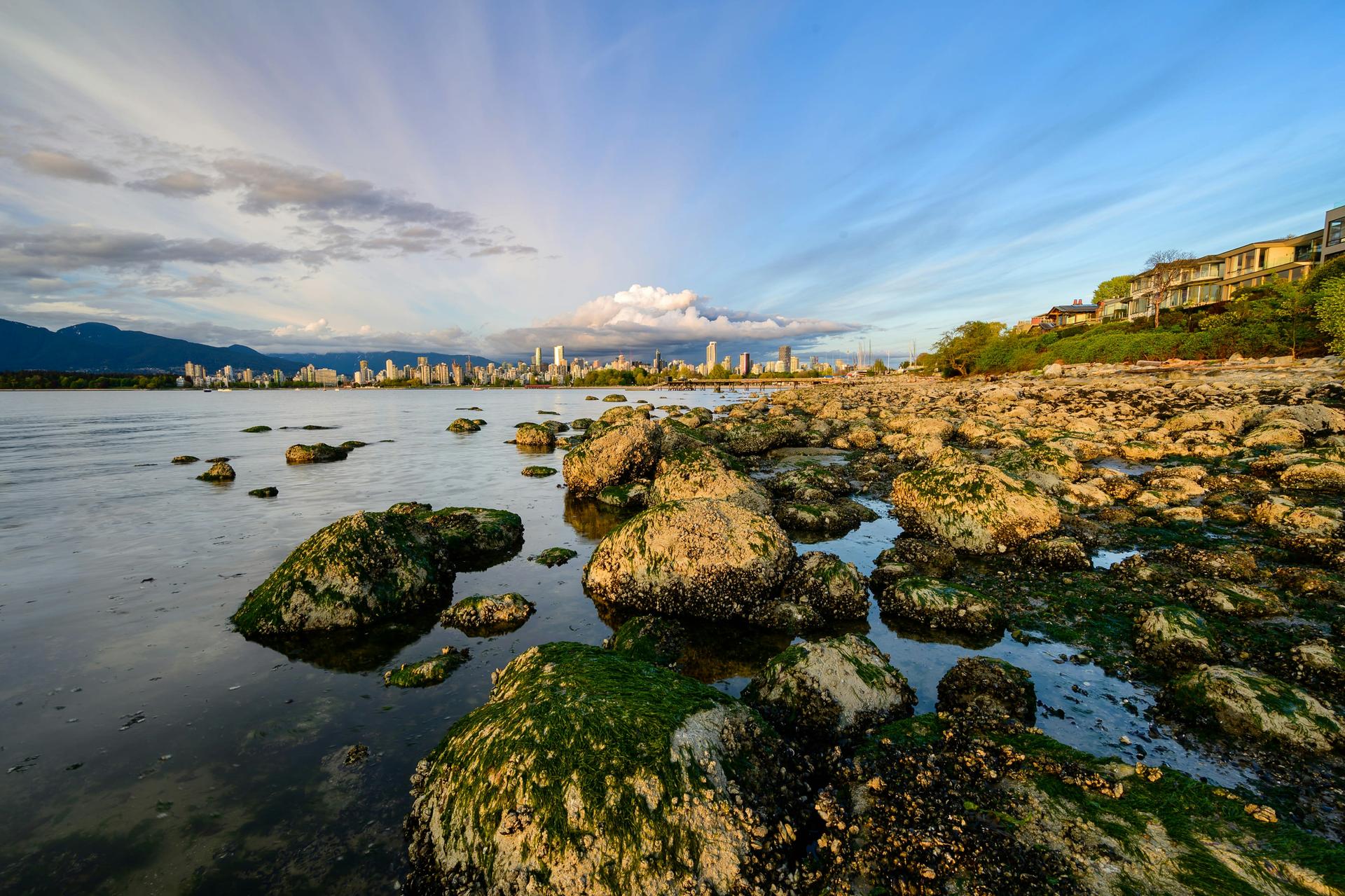 Foto 4 di Kitsilano Beach