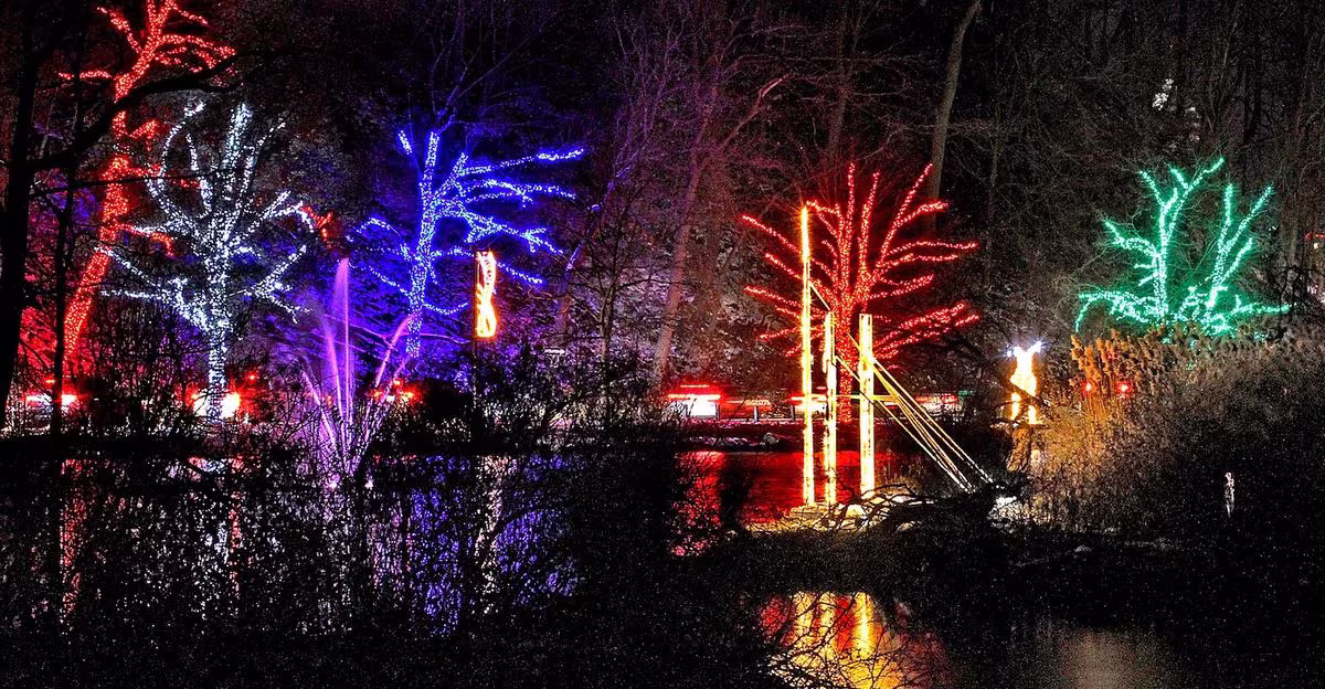 Winter Festival of Lights in 2024