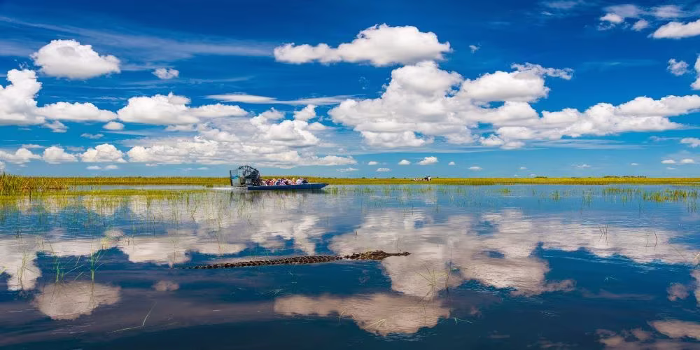 Sawgrass Recreation Park in 2024
