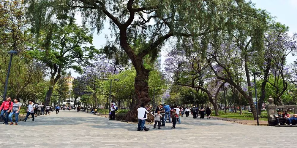 Alameda Central in 2024