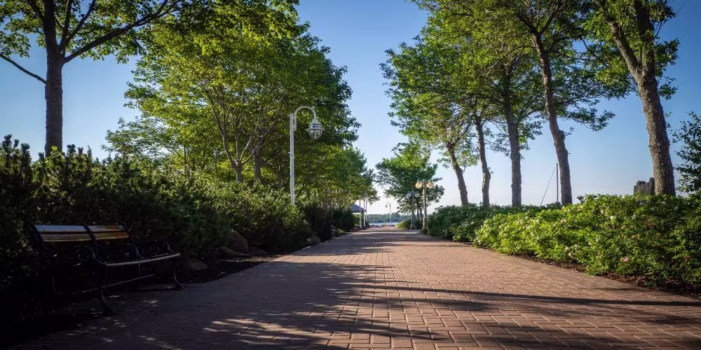 Visit Confederation Landing Parkwith walking tours.jpg