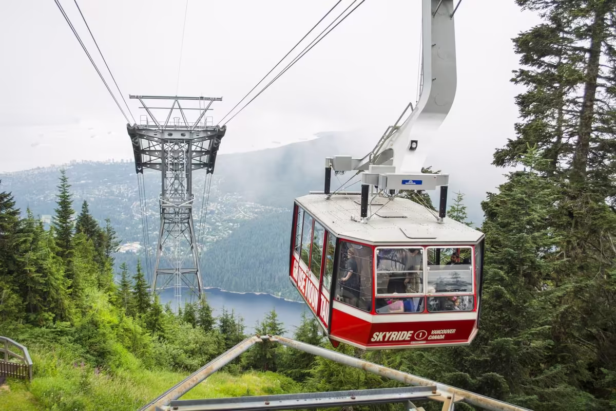 Vancouver Grouse Mountain Small Group Express + Skyride, Peak Chairlift, Lumberjacks & Wildlife Reserve image 2