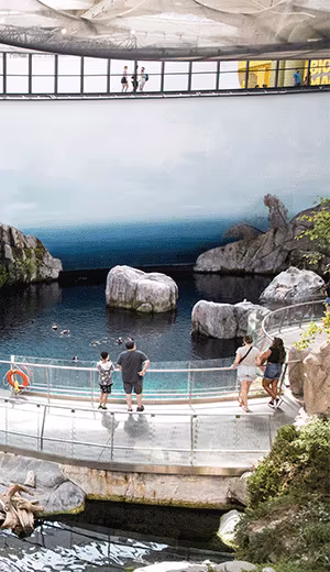 Best of Montreal Tour + The Biodome Wonder.jpg image 1