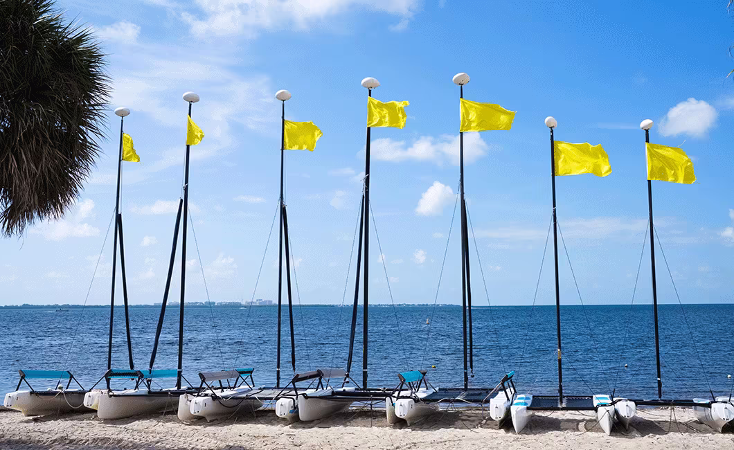 Rickenbacker Causeway in 2024