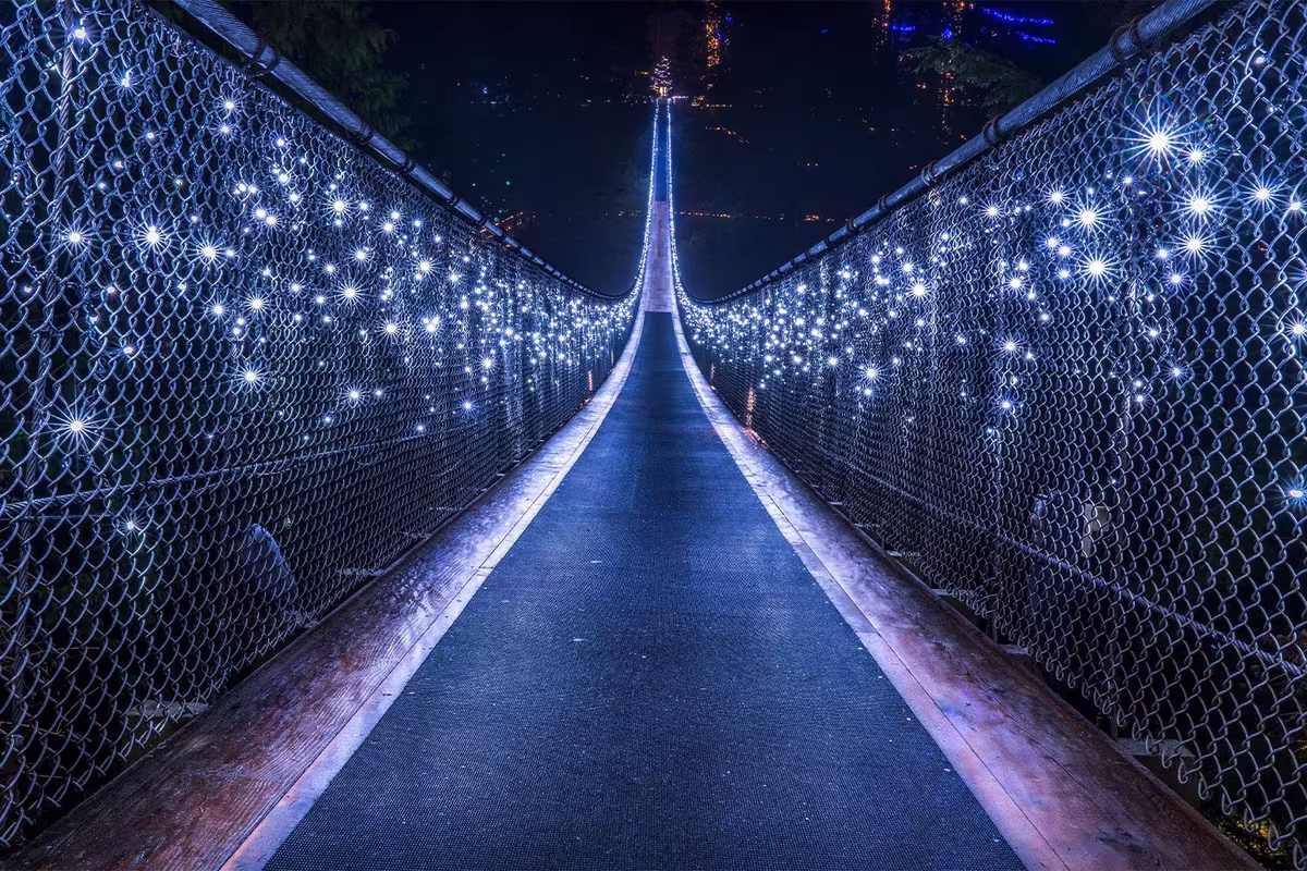 Capilano Suspension Bridge with Canyon Lights Tour image 5