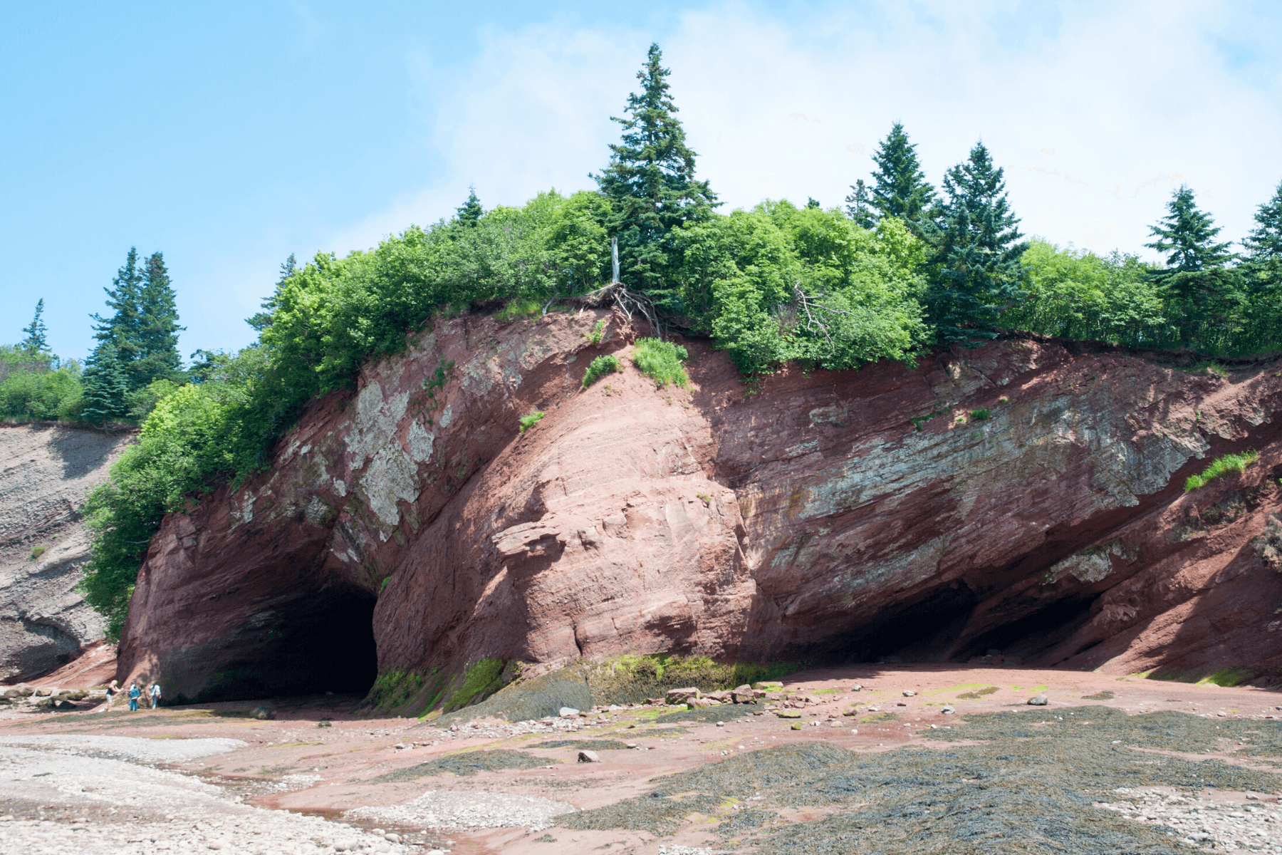https://res.cloudinary.com/see-sight-tours/image/upload/v1581432155/Bay-of-Fundy-National-Park.png
