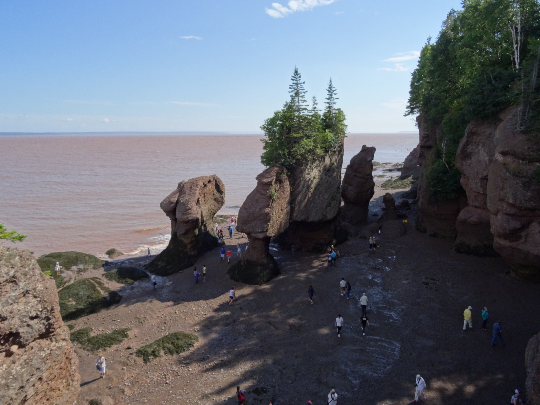 https://res.cloudinary.com/see-sight-tours/image/upload/v1581432178/Hopewell-rocks-secondary.jpg