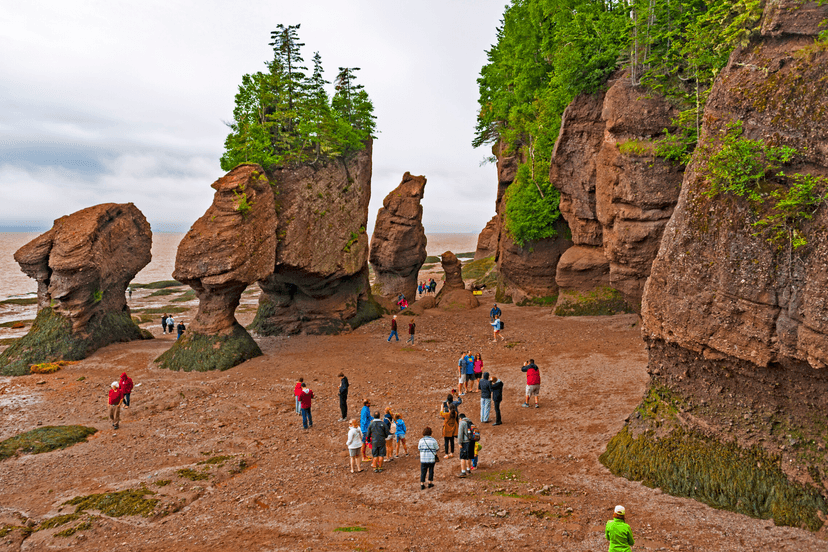 https://res.cloudinary.com/see-sight-tours/image/upload/v1581432180/Hopewell-Rocks-main.png