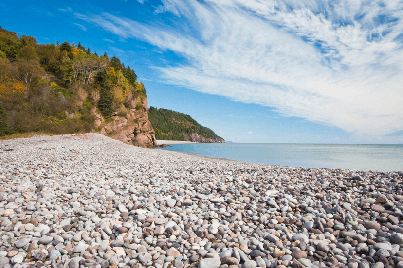 https://res.cloudinary.com/see-sight-tours/image/upload/v1581432181/rocky-beach-along-fundy-trail.png