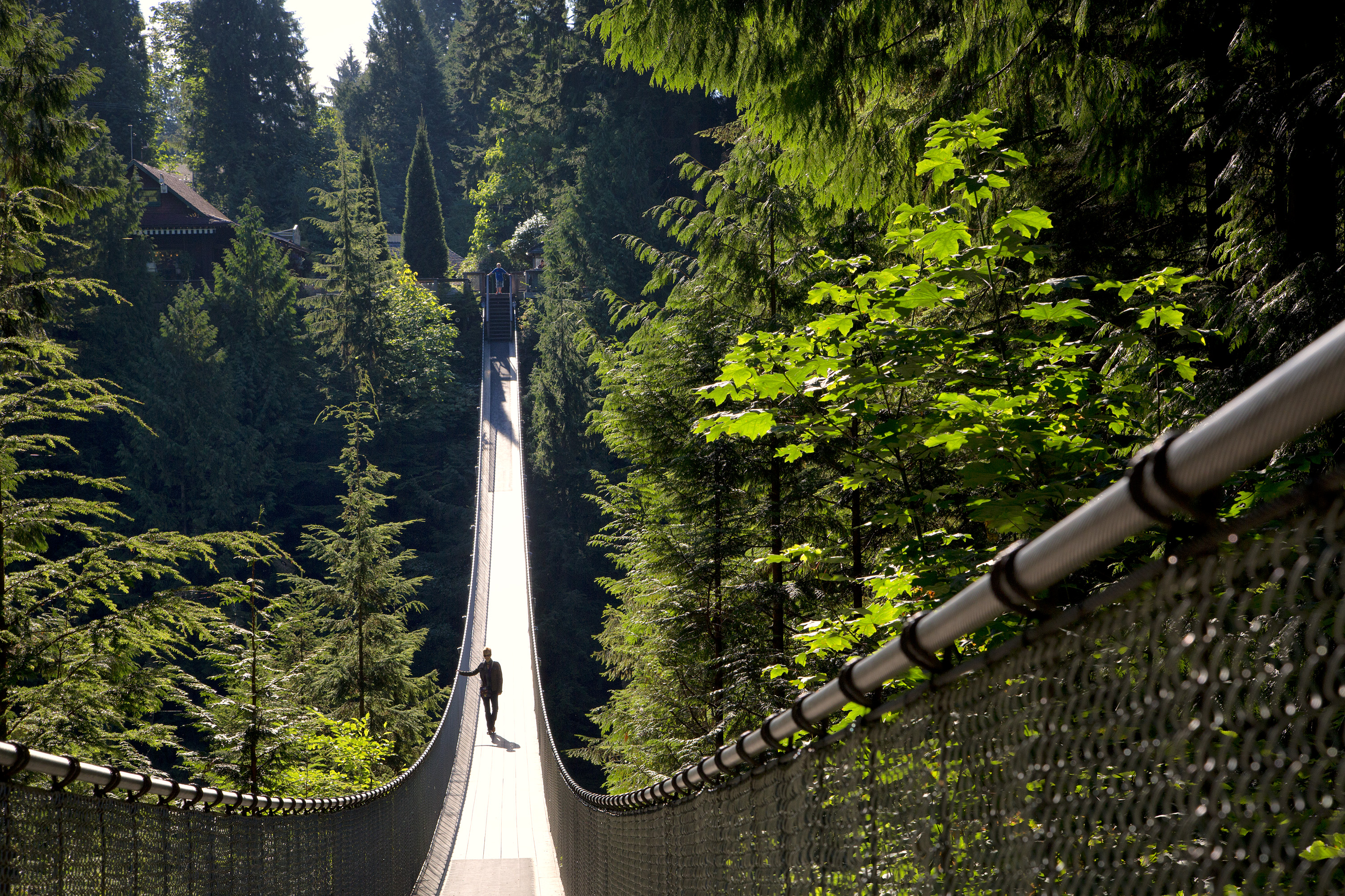 https://res.cloudinary.com/see-sight-tours/image/upload/v1581434218/Capilano-Suspension-Bridge-2.jpg