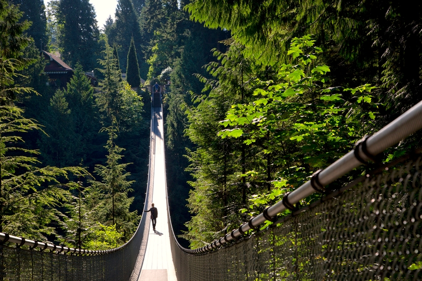 https://res.cloudinary.com/see-sight-tours/image/upload/v1581434218/Capilano-Suspension-Bridge-2.jpg