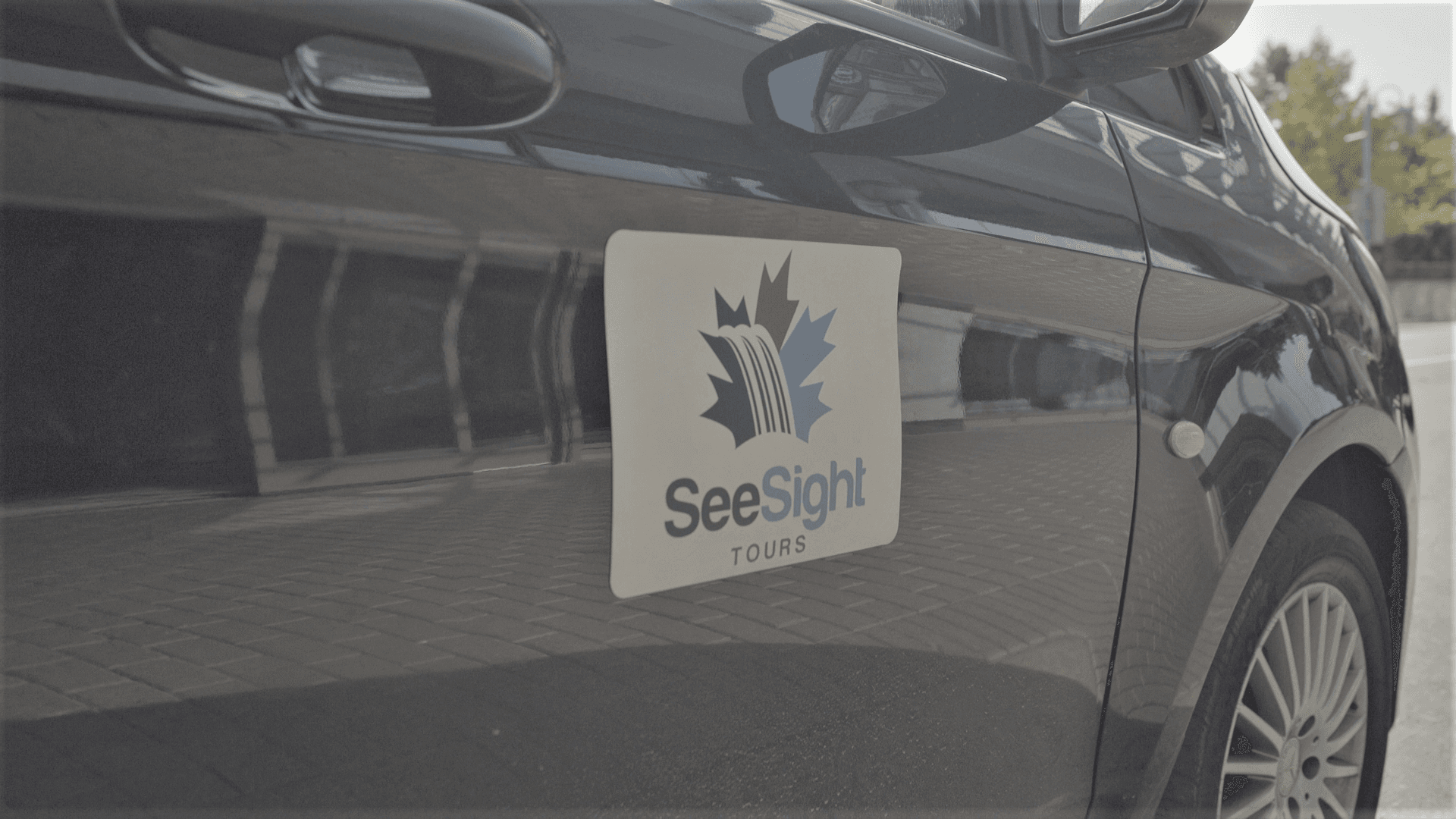 See Sight Tours Van