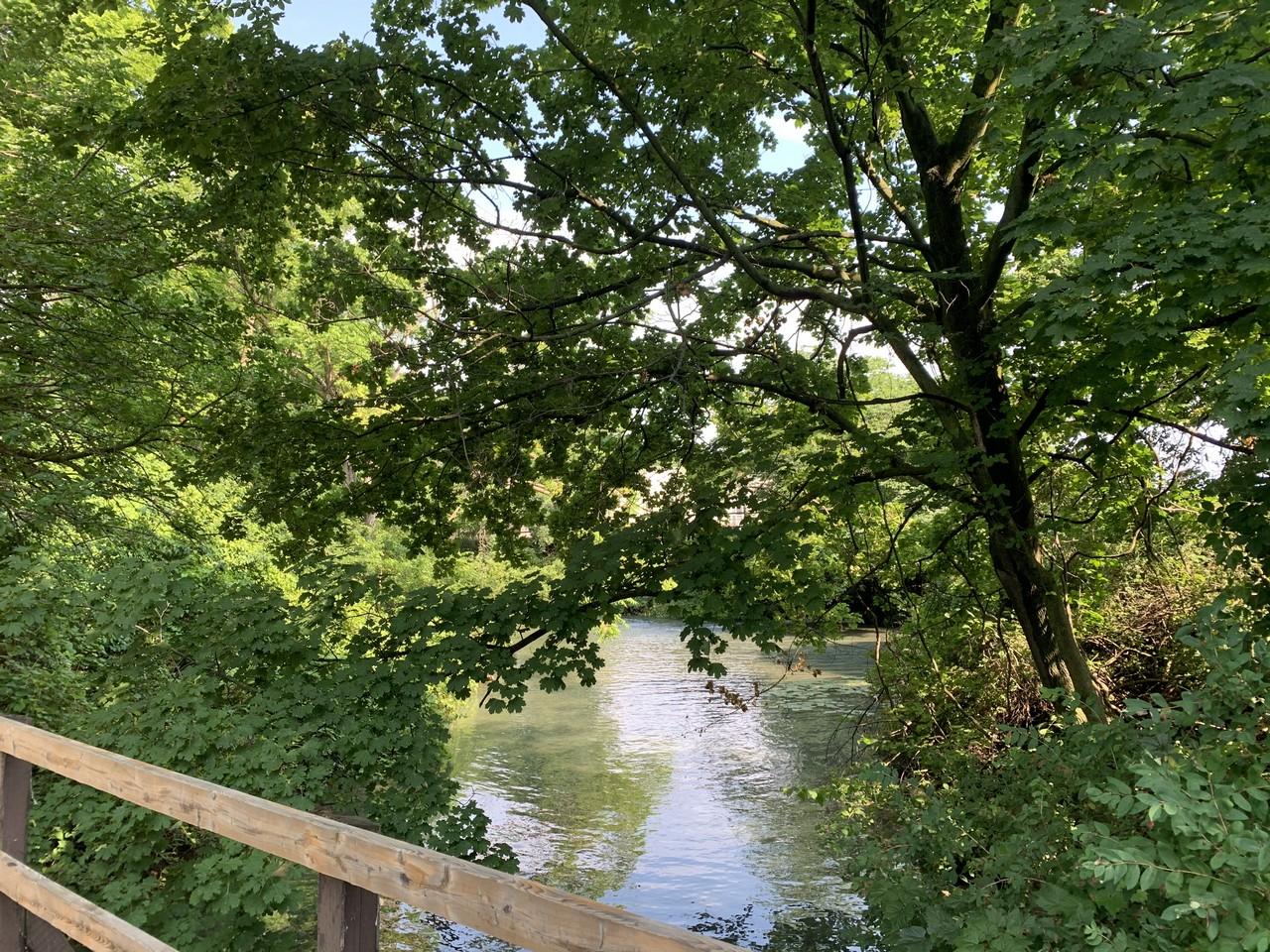 Dufferin Islands From Bridge