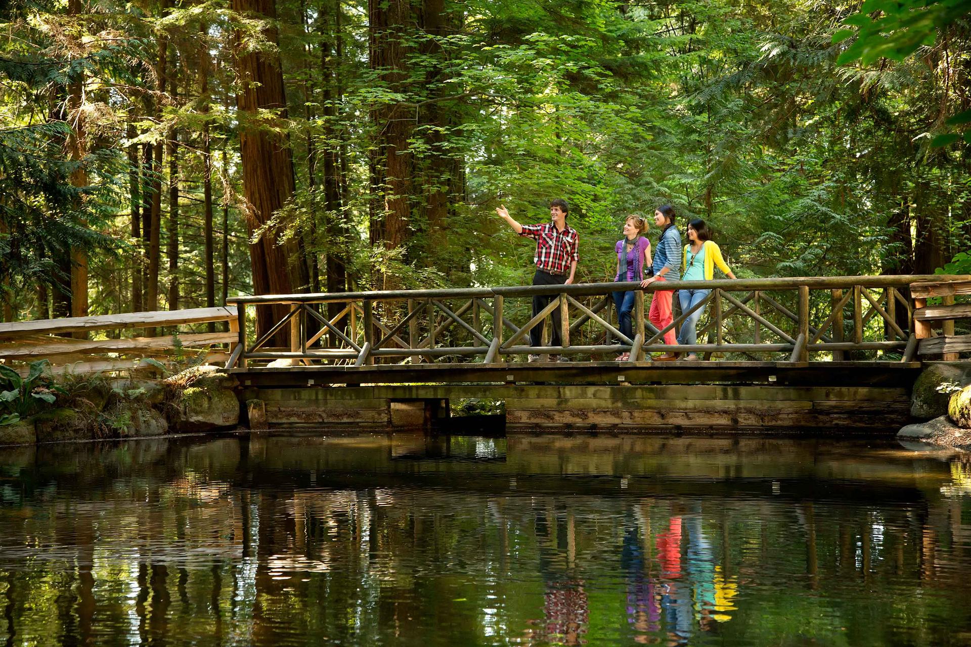 Ultra Small Group Vancouver Tours