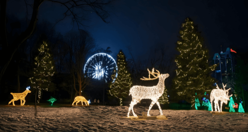 40th Niagara Falls Winter Festival of Lights