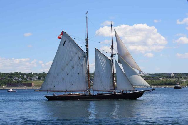 Visiting Halifax in August