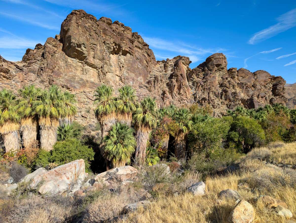 Andreas Canyon.jpg