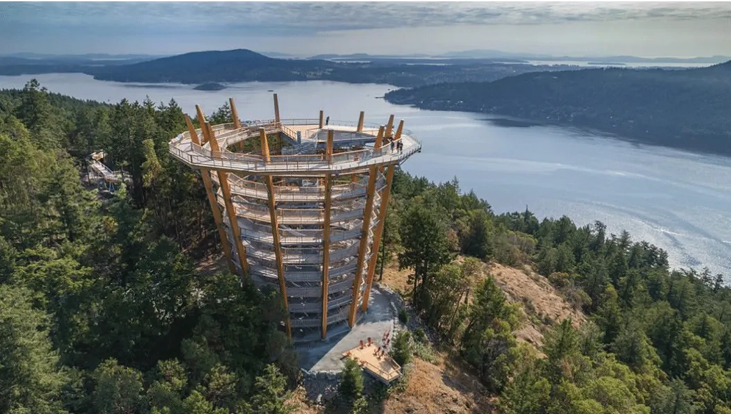 https://res.cloudinary.com/see-sight-tours/image/upload/v1738825044/strapi/malahat_skywalk_3d4fb8c0ed.webp