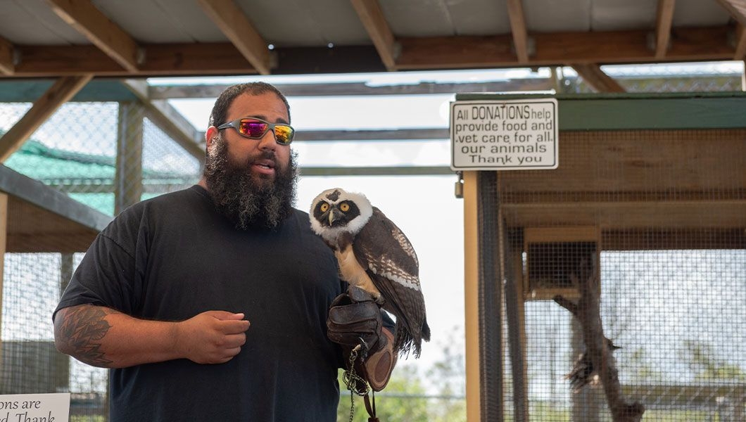 https://res.cloudinary.com/see-sight-tours/image/upload/v1745233275/strapi/Animal_encounter_with_Spectacled_Owl_at_Sawgrass_Recreation_Park_39035e3f30.jpg
