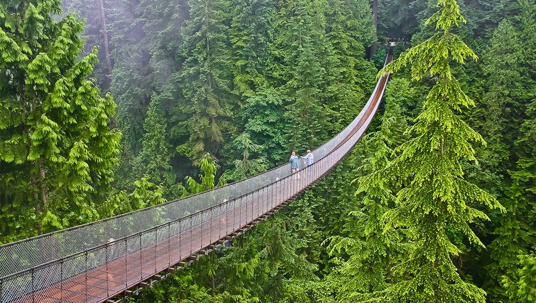 https://res.cloudinary.com/see-sight-tours/image/upload/v1745914442/strapi/Vancouver_Capilano_Suspension_Bridge_b59505f3b8.jpg